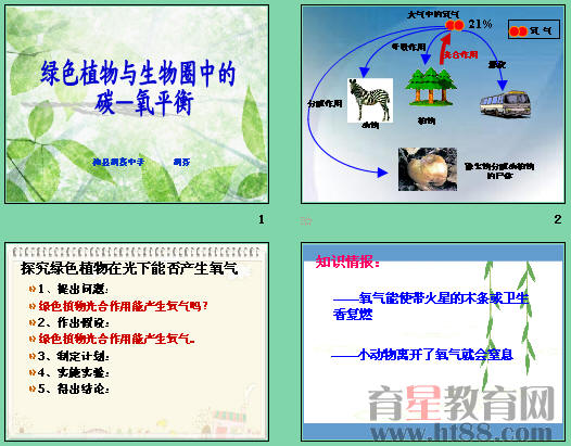 《绿色植物与生物圈中的碳氧平衡》ppt6