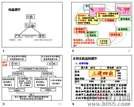 鿴Ԥͼ