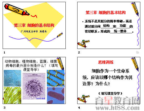 细胞膜具有识别功能_细菌细胞壁_细胞膜 边界的系统ppt