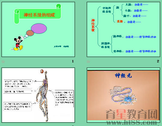 鿴Ԥͼ