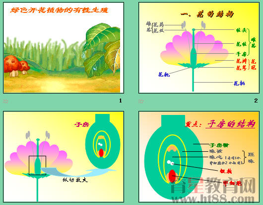 鿴Ԥͼ