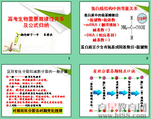 高考生物重要规律性关系及公式归纳ppt 人教课