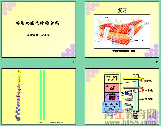 物质跨膜运输实例第一课时