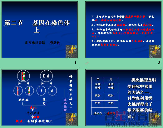 【学习目标 1 说出基因位于染色体上的理论假说和实验证据