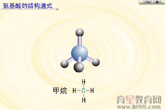 生命的物质基础flash素材（氨基酸的结构通式等13个）+北师大版