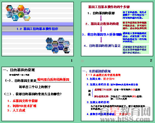 基因工程的基本操作程序ppt17