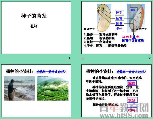 《种子的萌发》ppt10