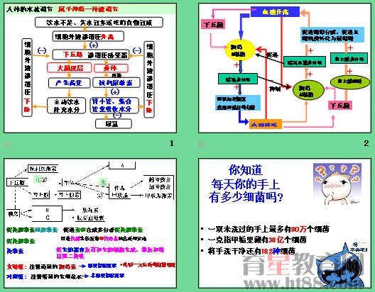 鿴Ԥͼ