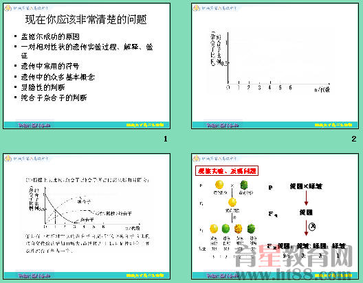 遗传图解