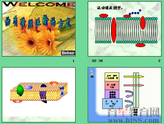 鿴Ԥͼ