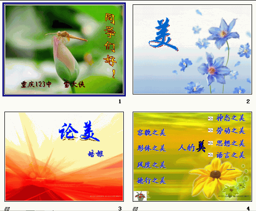 查看预览图
