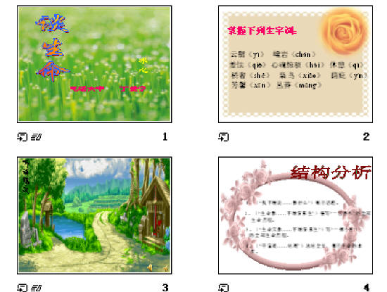 查看预览图