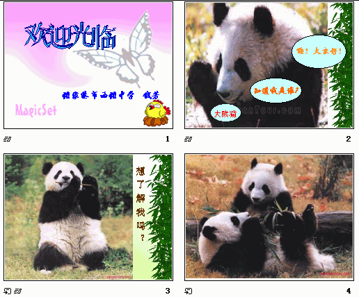 鿴Ԥͼ