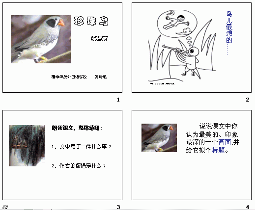 鿴Ԥͼ