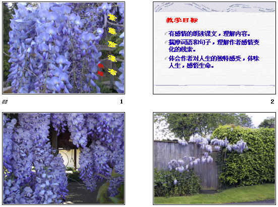 鿴Ԥͼ