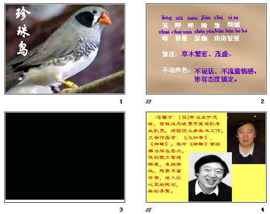查看预览图