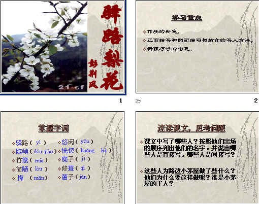 查看预览图