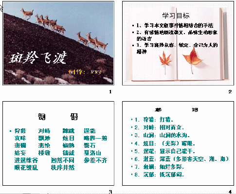查看预览图