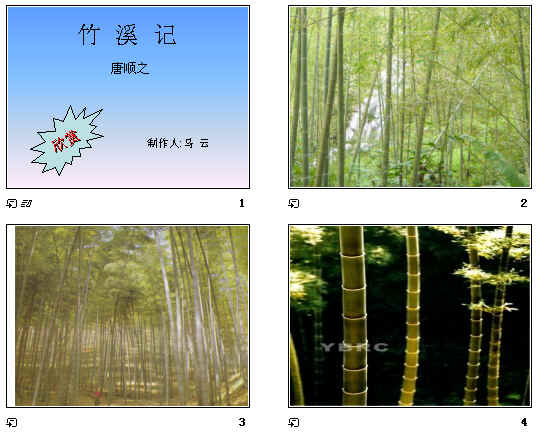 查看预览图