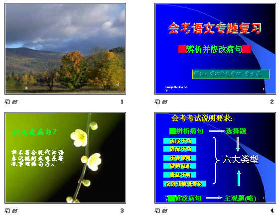 查看预览图