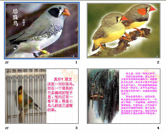 查看预览图