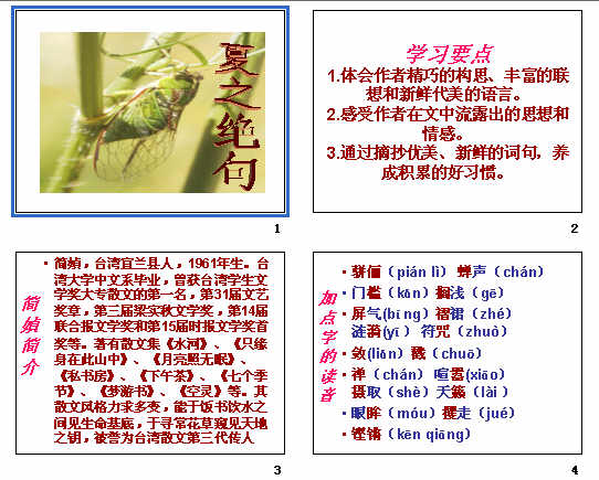 查看预览图