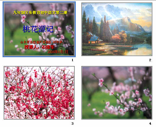 查看预览图