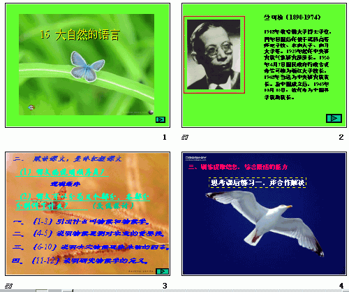 查看预览图
