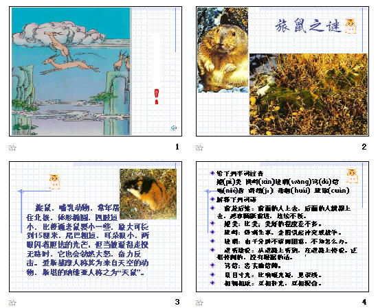 查看预览图