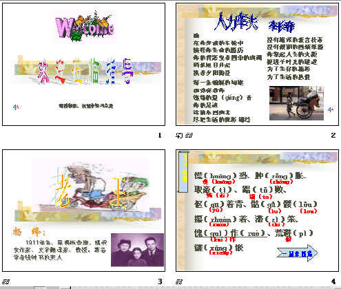 鿴Ԥͼ