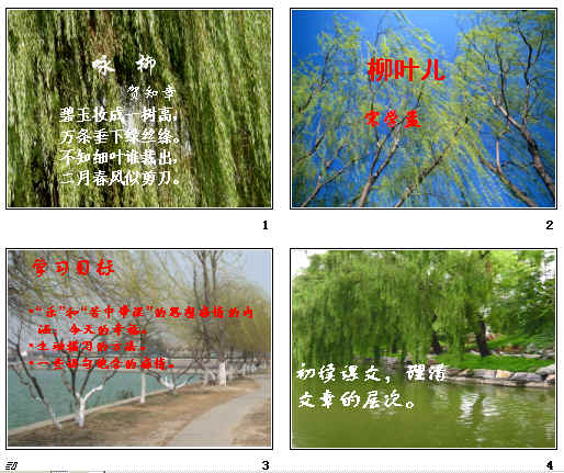 查看预览图