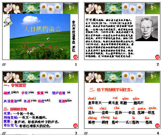 鿴Ԥͼ