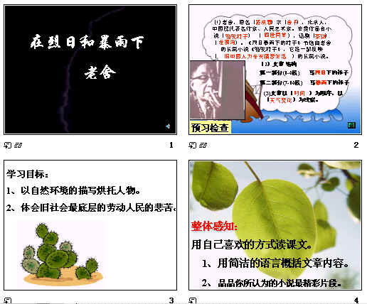 查看预览图