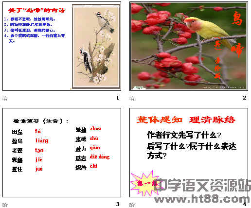 鿴Ԥͼ