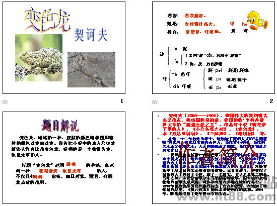 查看预览图