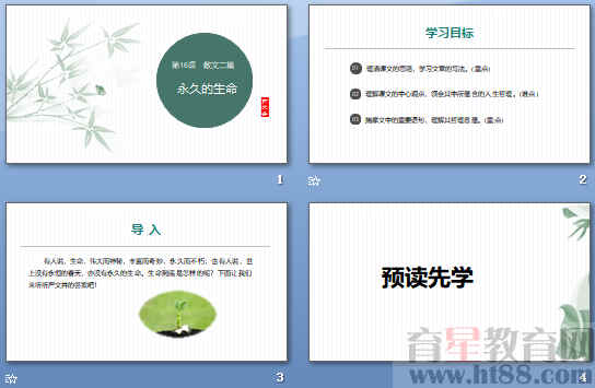 查看预览图